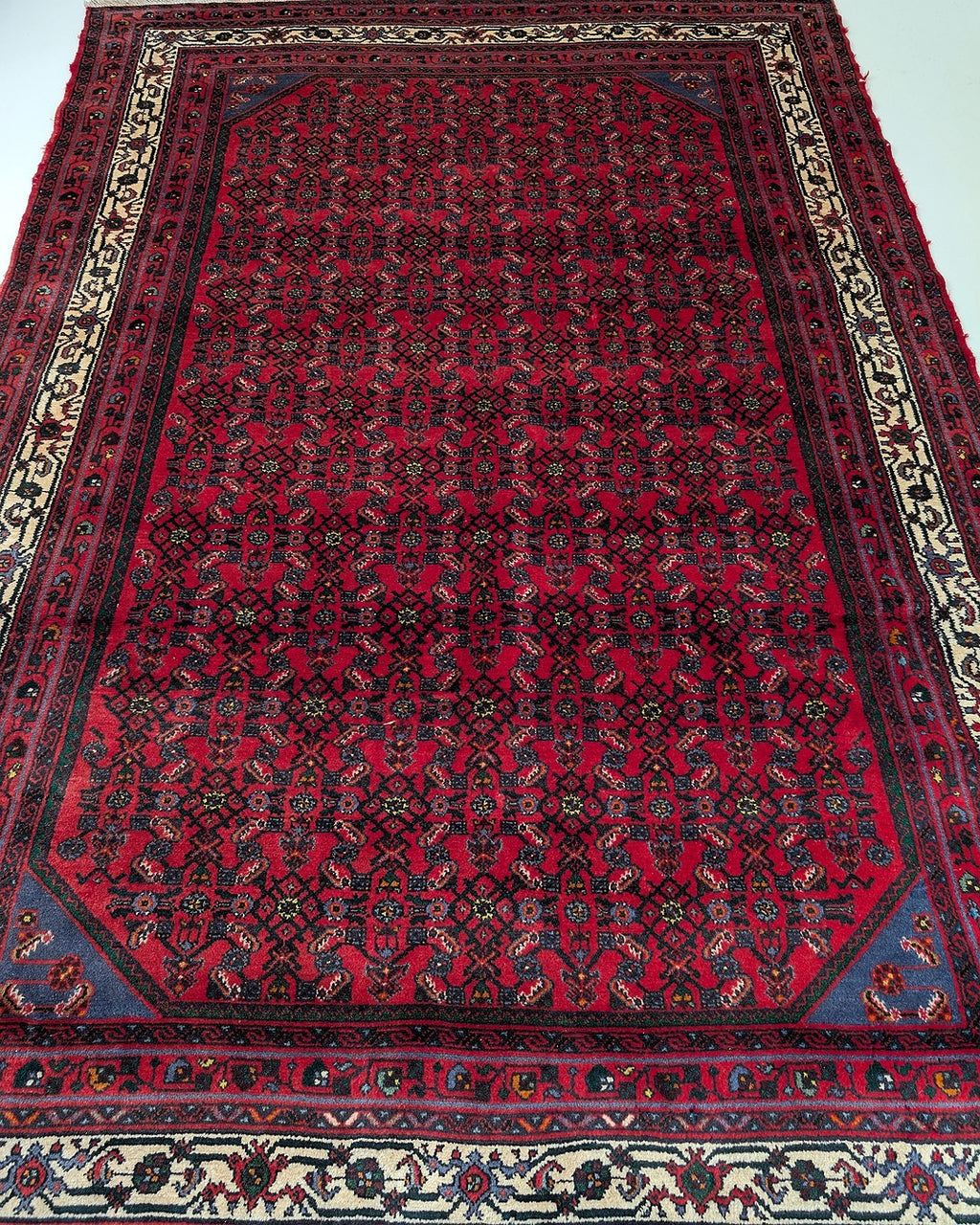Vintage red Persian rug with intricate floral and geometric patterns and cream border