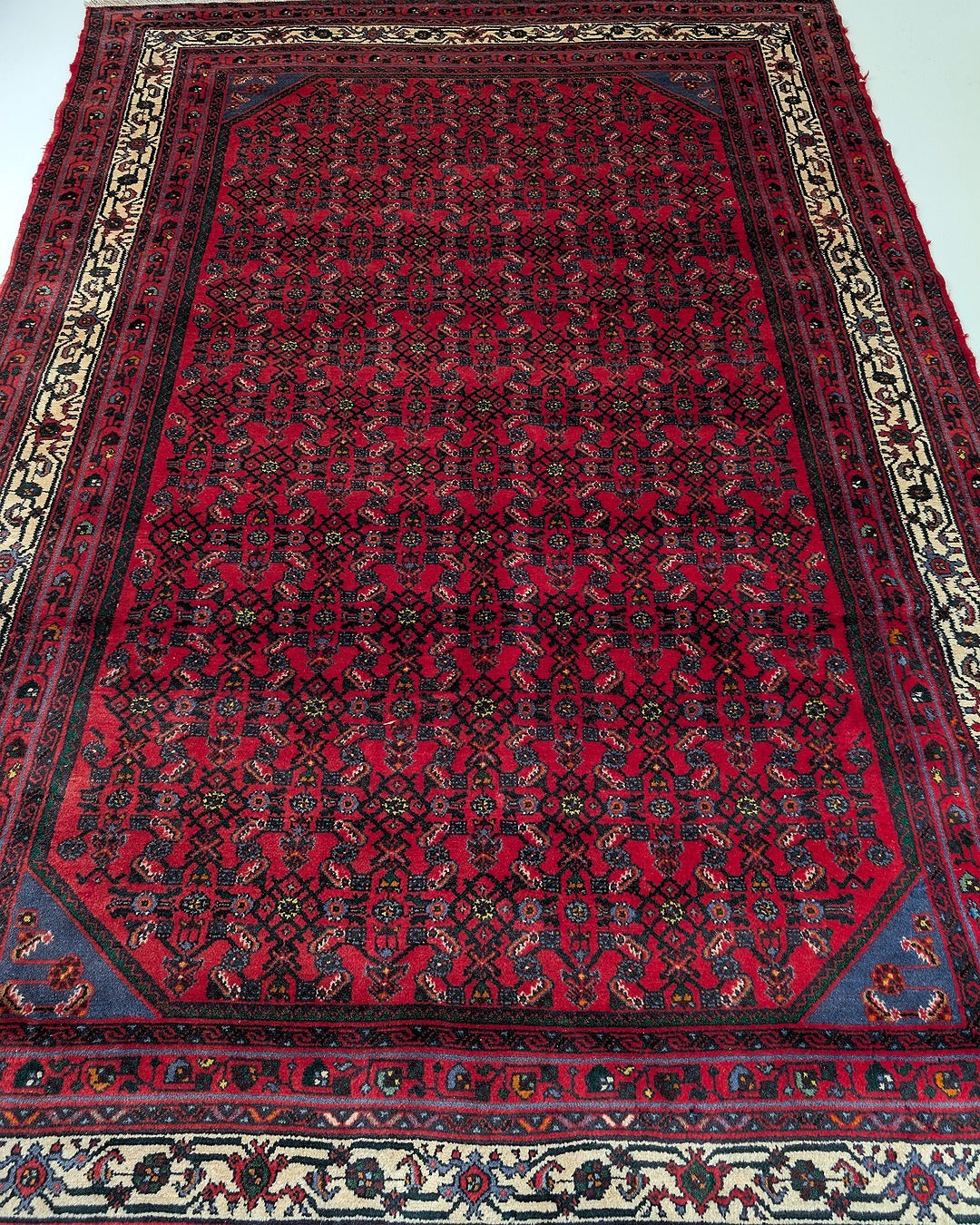Vintage red Persian rug with intricate floral and geometric patterns and cream border