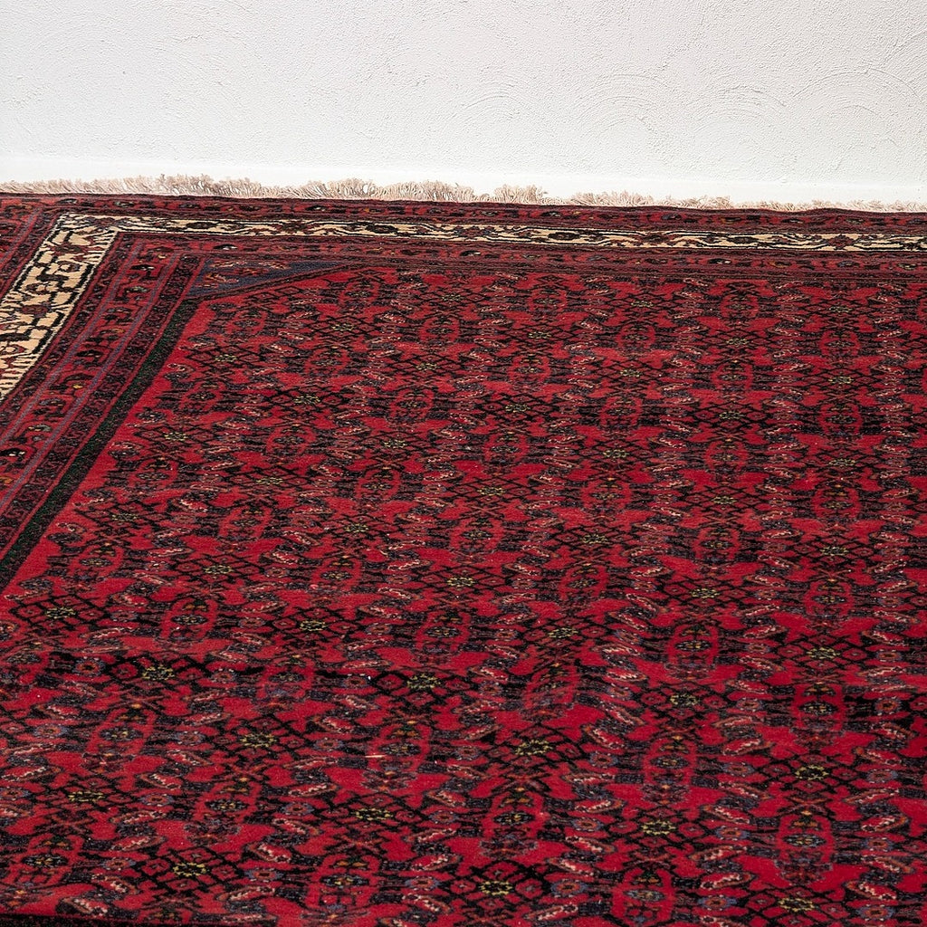 Red vintage Persian carpet with intricate floral motifs and beige patterned border on white floor