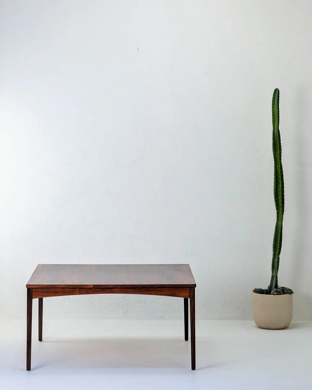 Minimalist wooden table with potted cactus against white wall background