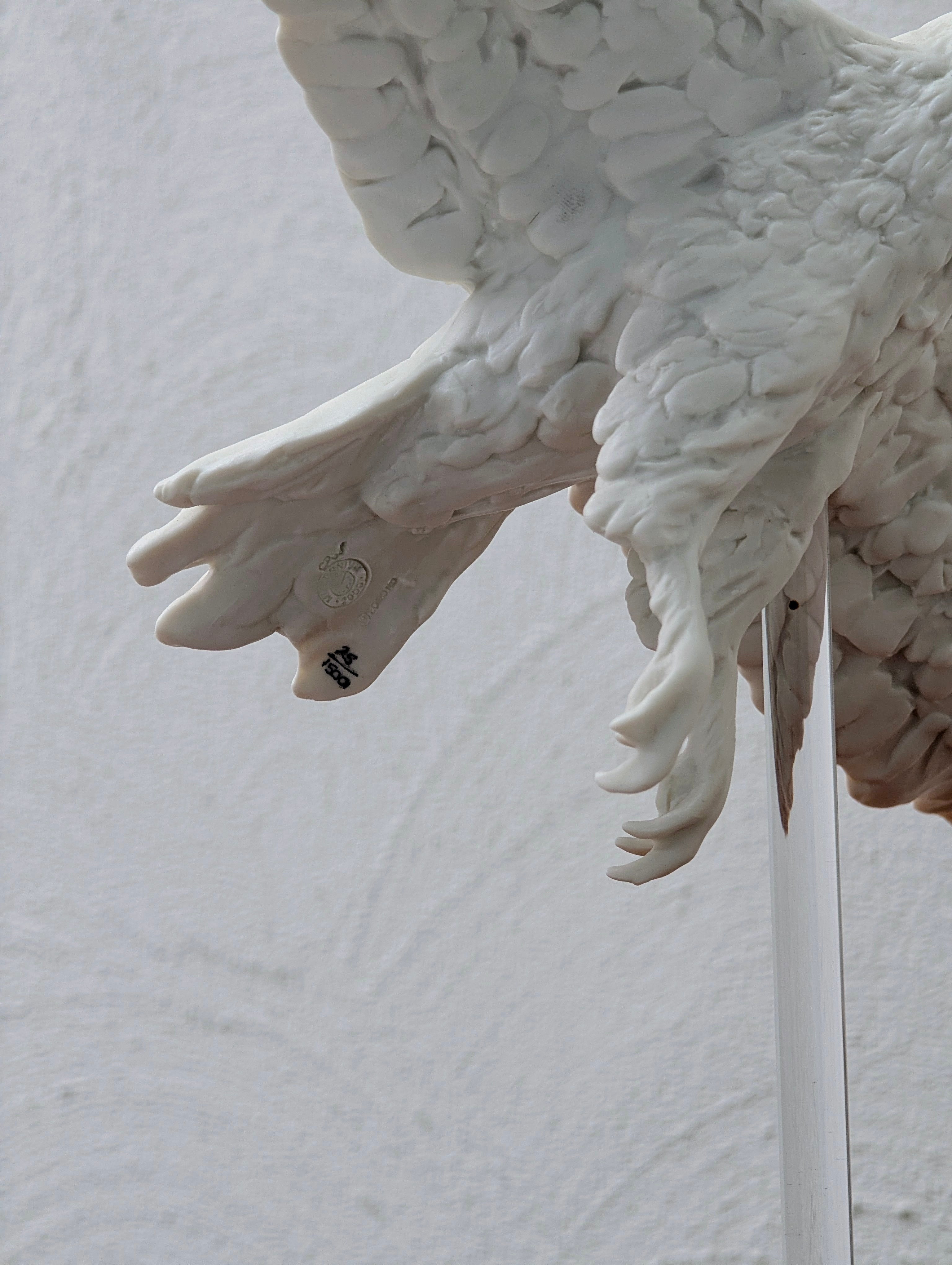 Royal Doulton "Millennium 2000" Parian Porcelain Eagle in Flight - Limited Edition #25