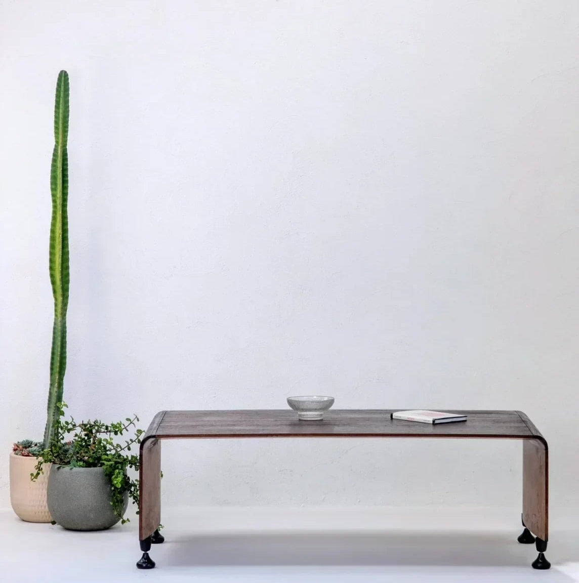 Scandi bentwood teak coffee table with bowl and book, cactus and plant, minimalist interior